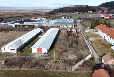 Teren industrial 1.729 mp I Demolare + construcție hală Teliu - 11