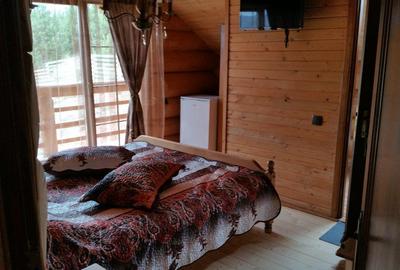 RATE Pensiune 12 cam Superba*** malul Lac Mocearu piscina ,16277mp - 27