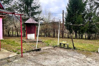 Teren de vanzare intravilan 1351 mp, gaz, apa, Sibiel-Vale - 6