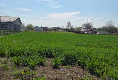 Teren de vanzare in Ciolpani - 1