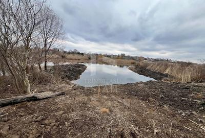 Teren cu deschidere lac Snagov Vladiceasca - 4