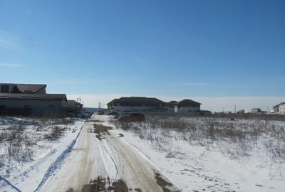 Magurele - Cartierul Florilor, Nuferilor, Stradal - 1