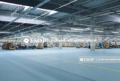 CTPark Sibiu, depozitare, productie, logistica, 3.000 - 11.000 mp - 4