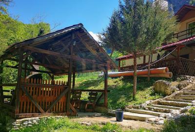 Casa de vacanta perfecta pe malul Cernei - 5
