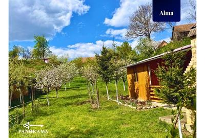 Teren Intravilan cu cabana  in satul transilvanean Alma - 8