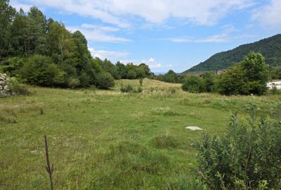 Teren Construcții intravilan de 5000 mp, în Glăjărie