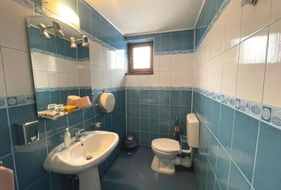 Clădire de birouri P+2E de vânzare | zona Cetate | Alba Iulia - 6