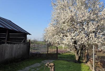 Tartasesti – casa si teren 2.000 mp de vanzare - 4