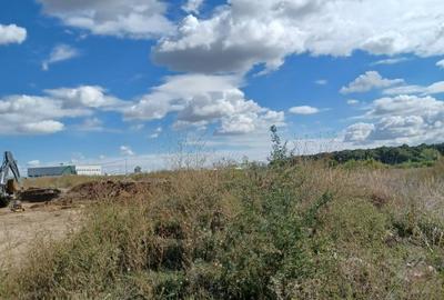 Teren  intravilan Stefanestii de Jos - 10.500 mp. - 3