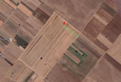 Teren agricol extravilan de 6537 mp, în Berceni