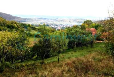 Teren agricol intravilan de 1400 mp, în Șuncuiuș