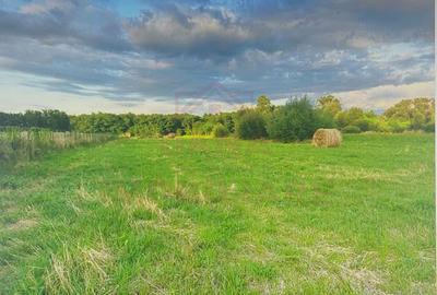 TEREN INTRAVILAN CU PUZ\ 704 MP\CARANSEBEȘ\ ZONA TEIUȘ - 1