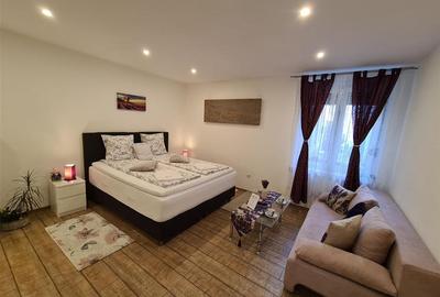 Studio de LUX zona Ultracentrala - 1