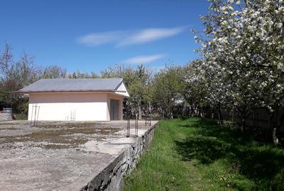 Vând grădină în Tg.Frumos - 13