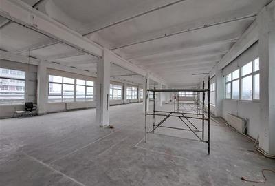 Hala open space, 614 mp, lift de marfa, zona Piata 1 MAI - 3