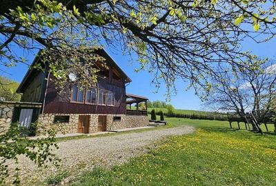 Pensiune in jud. Buzau, loc Ivanetu| Constructie lemn|Pozitionare impresionanta - 11