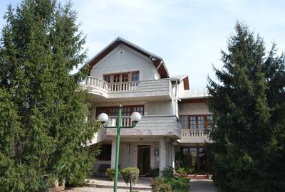Vanzare vila Stefanesti Izvorani stradal - 1