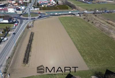 Teren Intravilan 8.762 mp Stupini - 1
