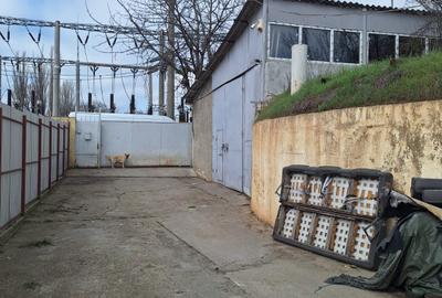 Far - Abator , hala 210 mp, platforma betonata, acces TIR - 3