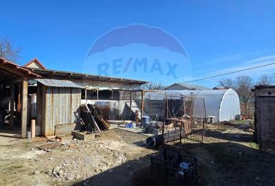 Casă cu anexă, livadă și panouri fotovoltaice - 8
