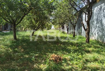 Teren intravilan de vanzare cu utilitati in Poplaca - 1