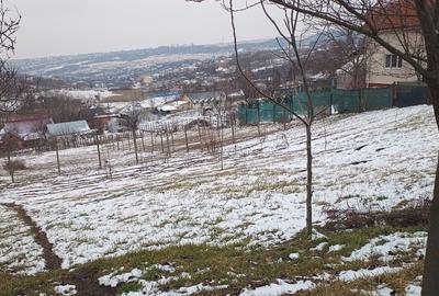 Teren 704 mp Breazu – asfalt + utilități – priveliște spre pădure – ideal casă - 11