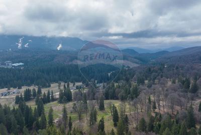 Teren intravilan –  Poiana Mică | Investiție ideală! - 1