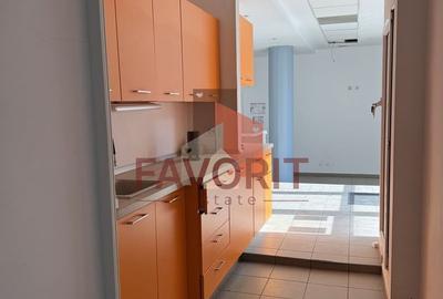 Spatii de birouri in centrul Timisoarei. Disponibile imediat - 11