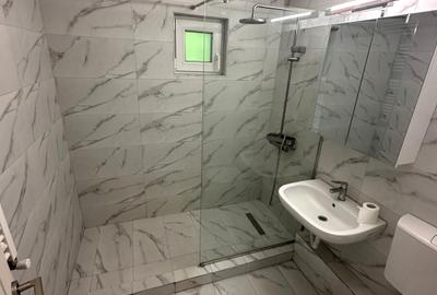 Constantin Brancoveanu 7minute de metrou - 9