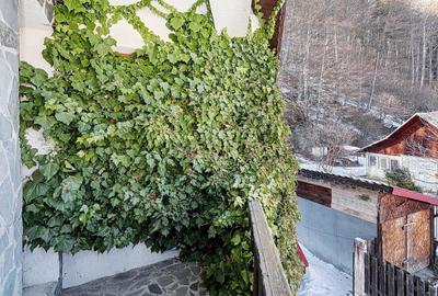 Casa de Vacanta in Predeal - 46