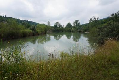 Campina Valea Doftanei Sotrile Paltinu - 13