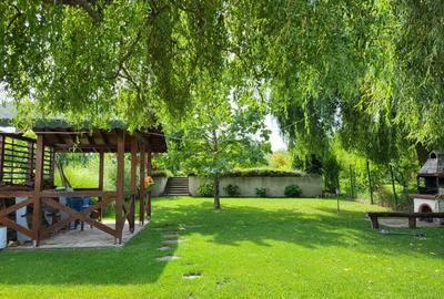 Dimineți pe ponton, seri la piscină – viața la Snagov. - 8