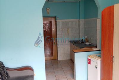 Garsoniera de inchiriat in Oradea, zona Splaiul Crisanei, 21 mp - 2