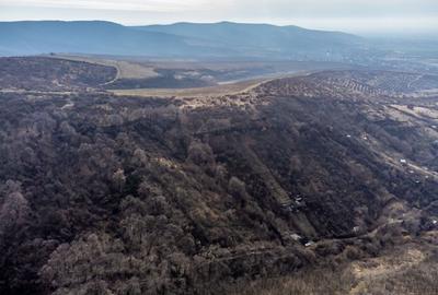 Teren în Ghioroc pe deal - 3