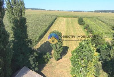 CASĂ + teren 4500 mp DRAGOMIREȘTI, judetul Neamț - 3