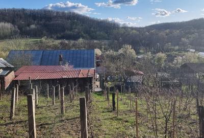 Casă P+M cu 1.558 mp teren, livadă și garaj | Barza, Gorj Comision 0% - 18