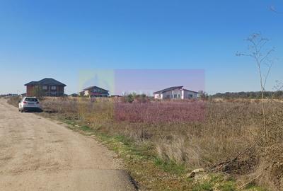 Săbăreni, teren rezidential 6290 mp, cu 52m FS, utilitati in apropiere - 4