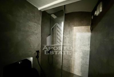 Apartament o camera de vanzare, Piata Romanilor Timisoara - 12