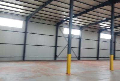 Hale noi 2buc  Voluntari ( Afumati ) pret bomba 750.000 euro - 2