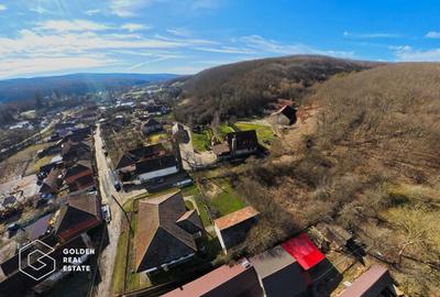 Proprietate pretabila pentru afacere, Cladova - 34