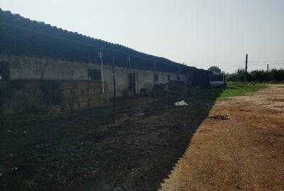 Ferma cu hale 3000 mp si teren 12000 mp, 30 km de Constanta - 7