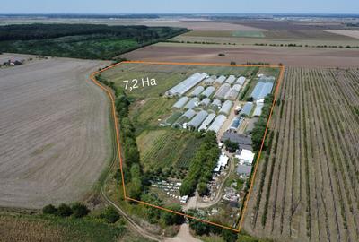 Teren agricol extravilan de 72200 mp, în Petrăchioaia