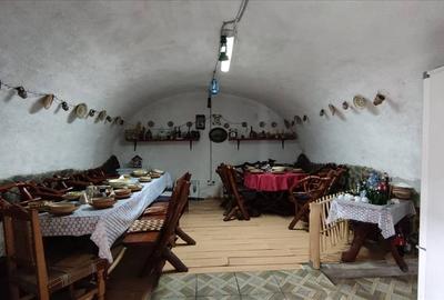 Pensiune in Sasca Montana - 13