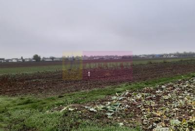 Teren Investiție aproape de București - 10