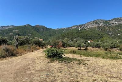 Teren intravilan pe insula Thassos, aproape de plaja salbatica - 17