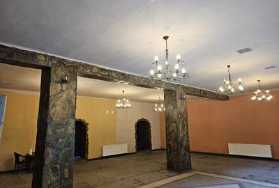 Spațiu comercial - 3