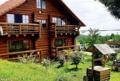 RATE Pensiune 12 cam Superba*** malul Lac Mocearu piscina ,16277mp - 25