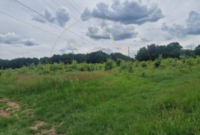 Teren extravilan Pitesti - str. Balotesi!! - 10