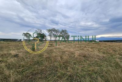 Parcele de vânzare pe Calea Cisnadiei, Sibiu - priveliste spre munti - 11