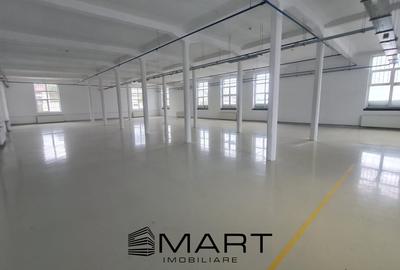 Spatii de inchiriat â Depozitare | Productie | Birouri Cisnadie - 1